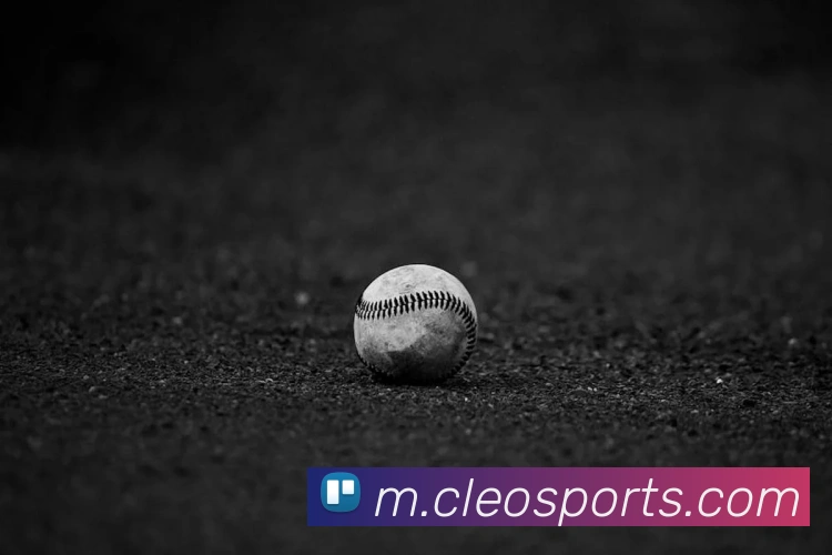 体育下注服务体系